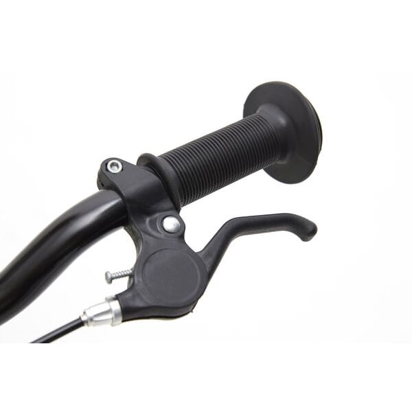 Ridgeback Scoot 12-inch wheels